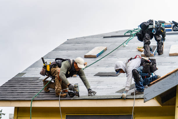 Professional Roofing technician working in Naples, UT